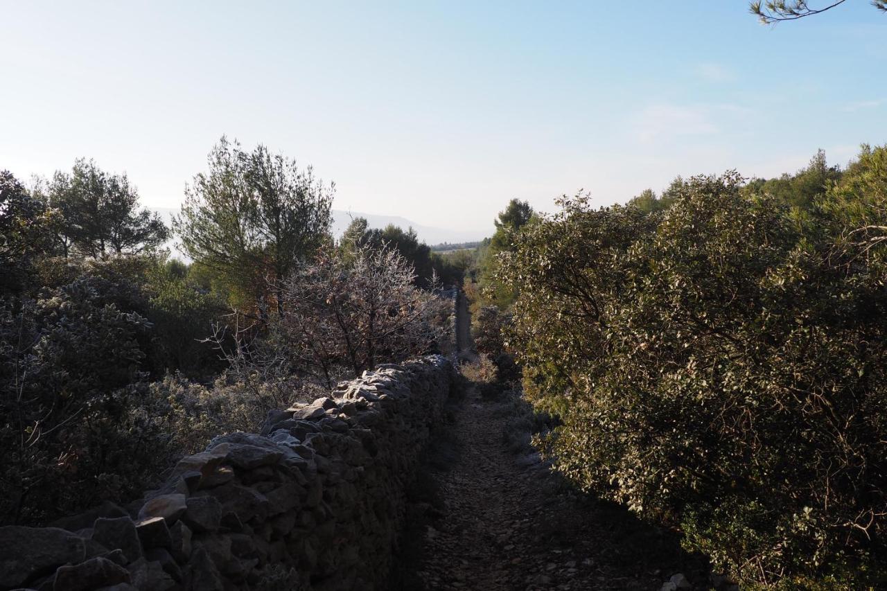 Chambres D'Hotes Le Relais Des Marmottes En Luberon Lagnes エクステリア 写真